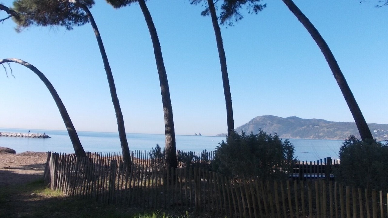 Photo of Outdoor in Saint-Mandrier-sur-Mer