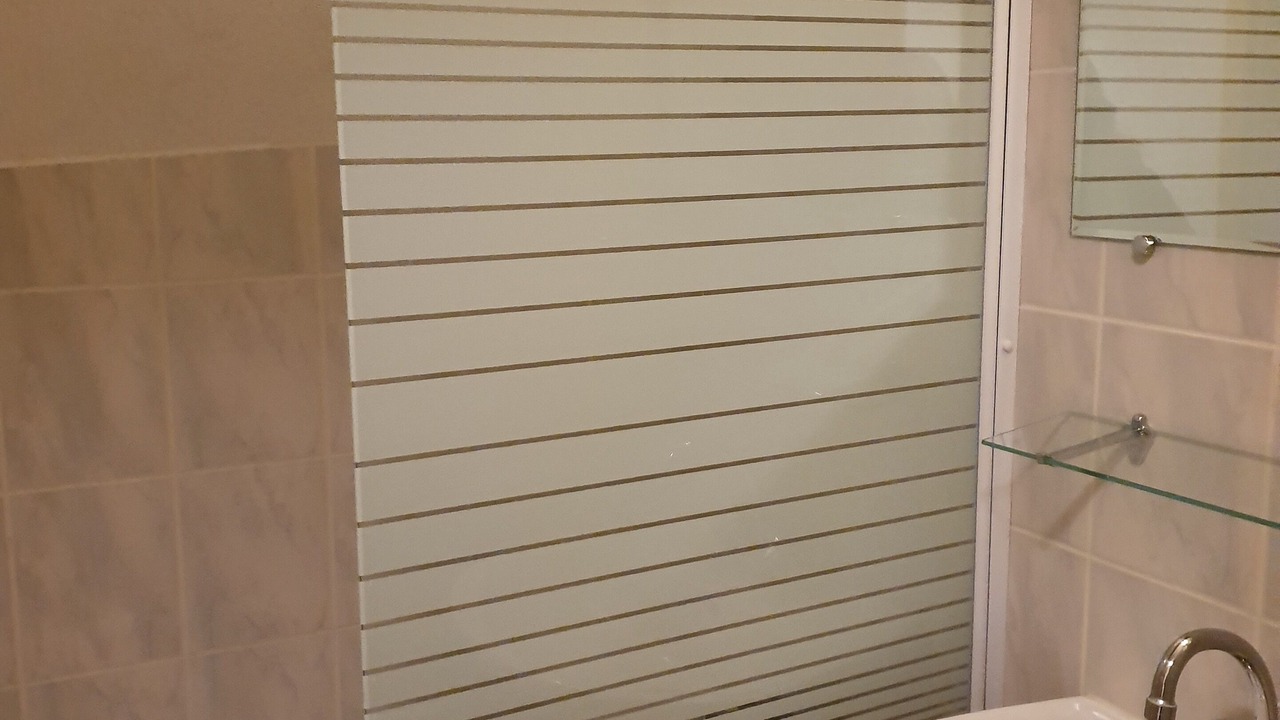 Photo of Bathroom in Saint-Colomban-des-Villards