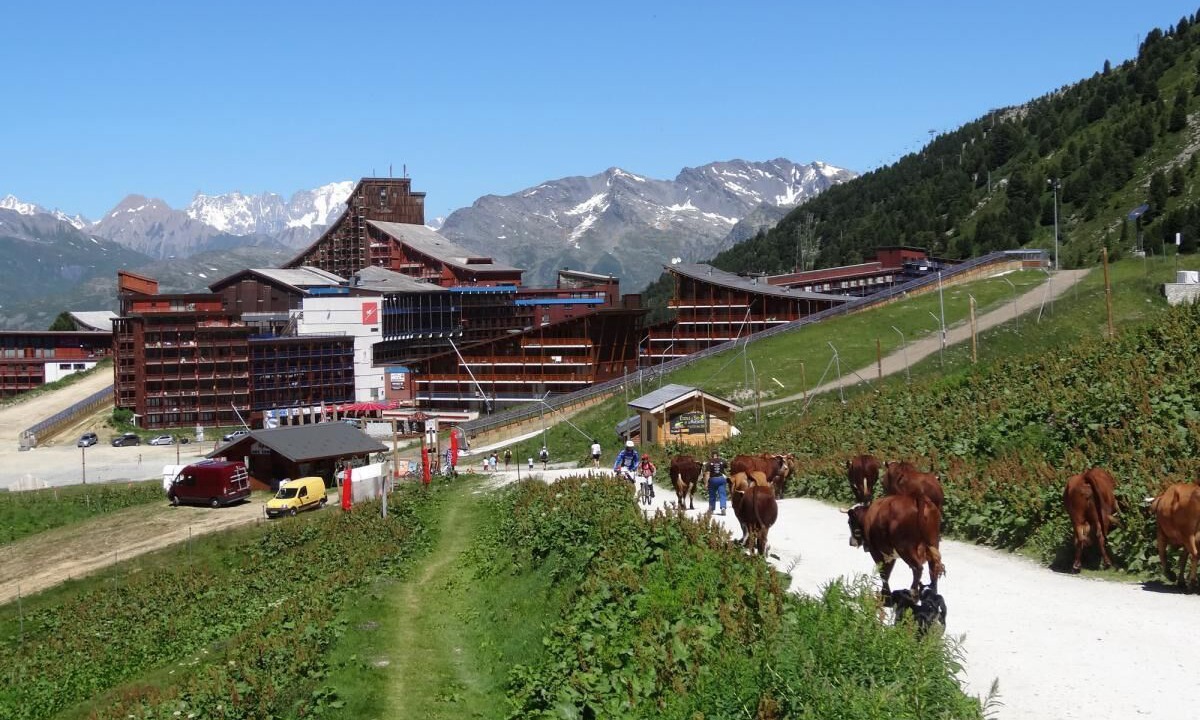 Photo of Outdoor in Arc-2000