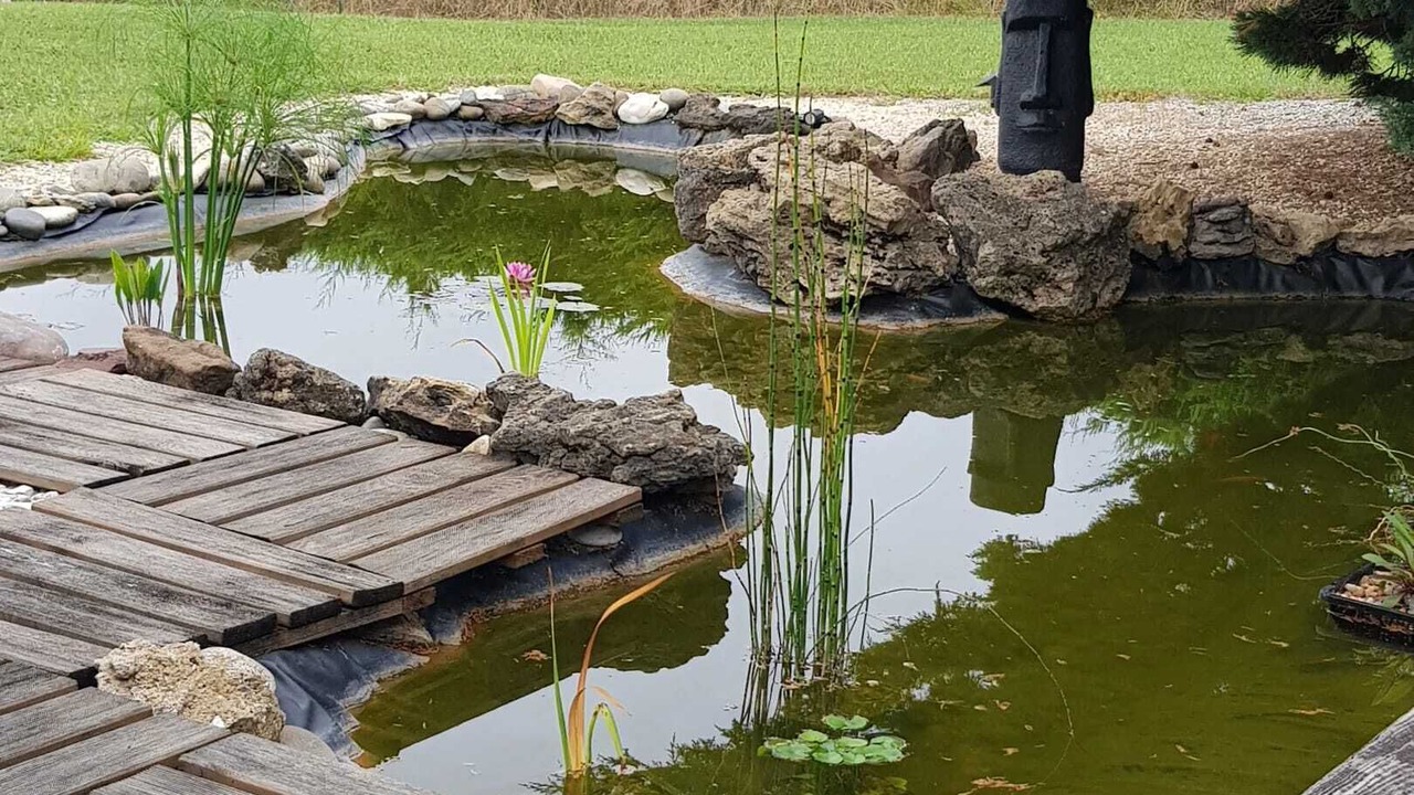 Photo of Outdoor in Angoume