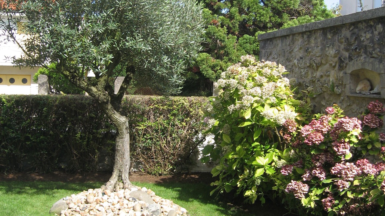 Photo of Outdoor in Saint-Georges-de-Didonne