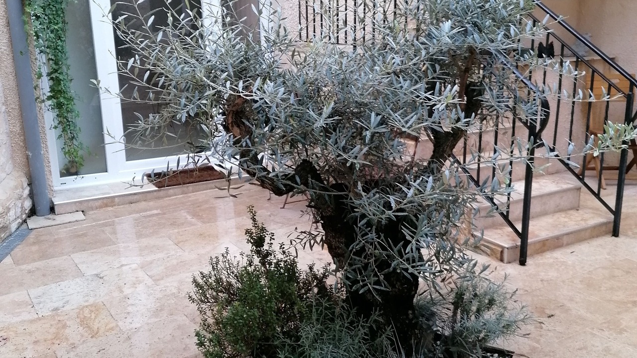 Photo of Outdoor in Perigueux