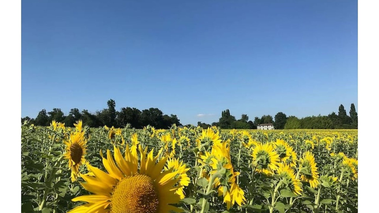 Photo of Outdoor in Chillac