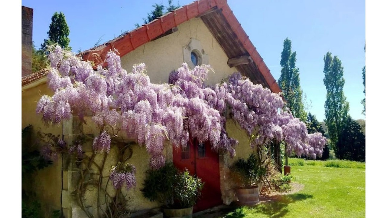 Photo of Outdoor in Chillac