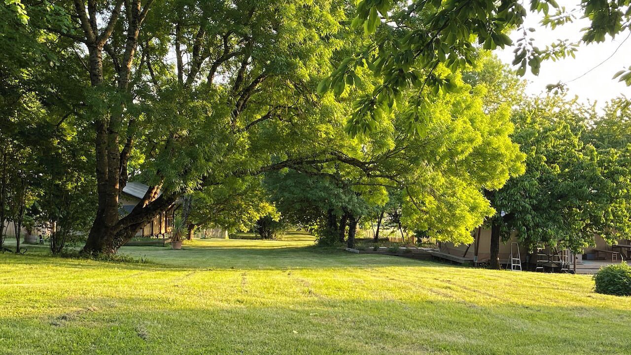 Photo of Outdoor in Chadenac