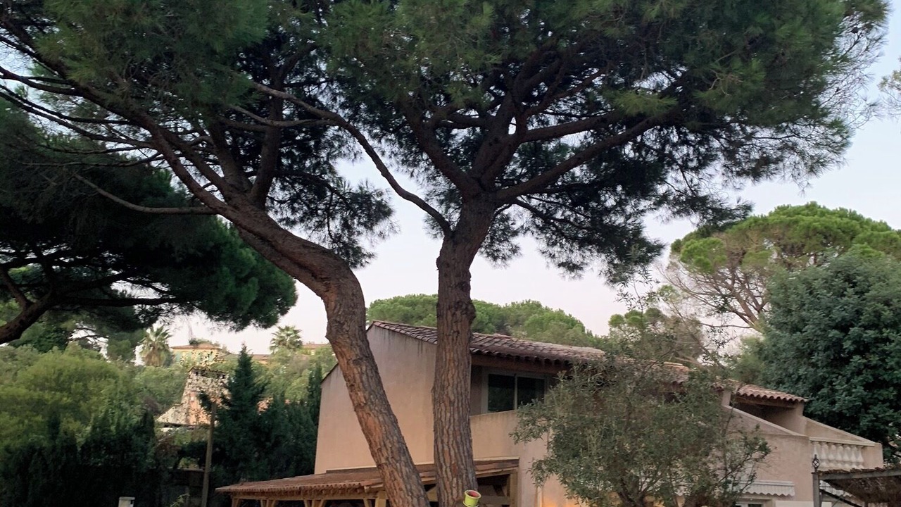 Photo of Outdoor in Sainte-Maxime