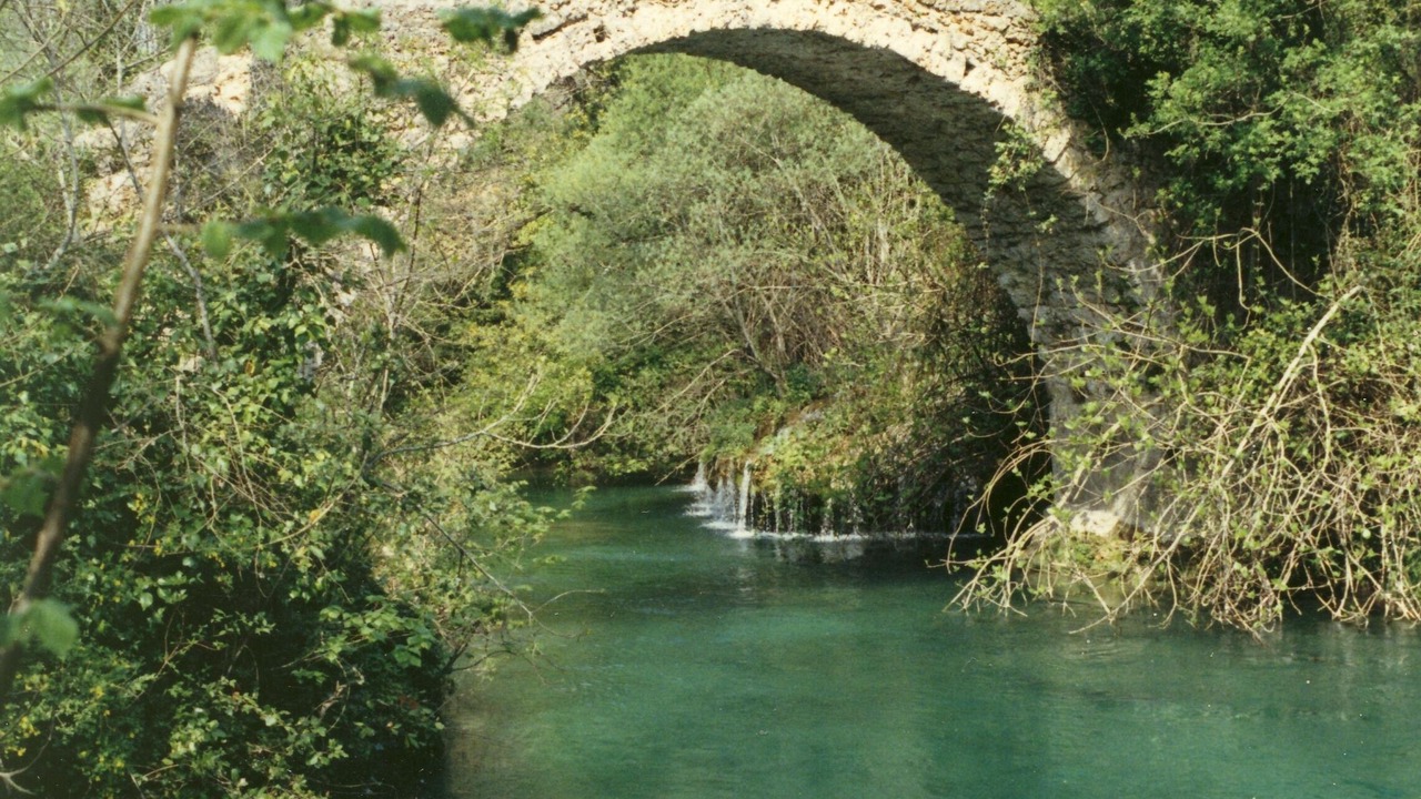Photo of Others in Saint-Cezaire-sur-Siagne