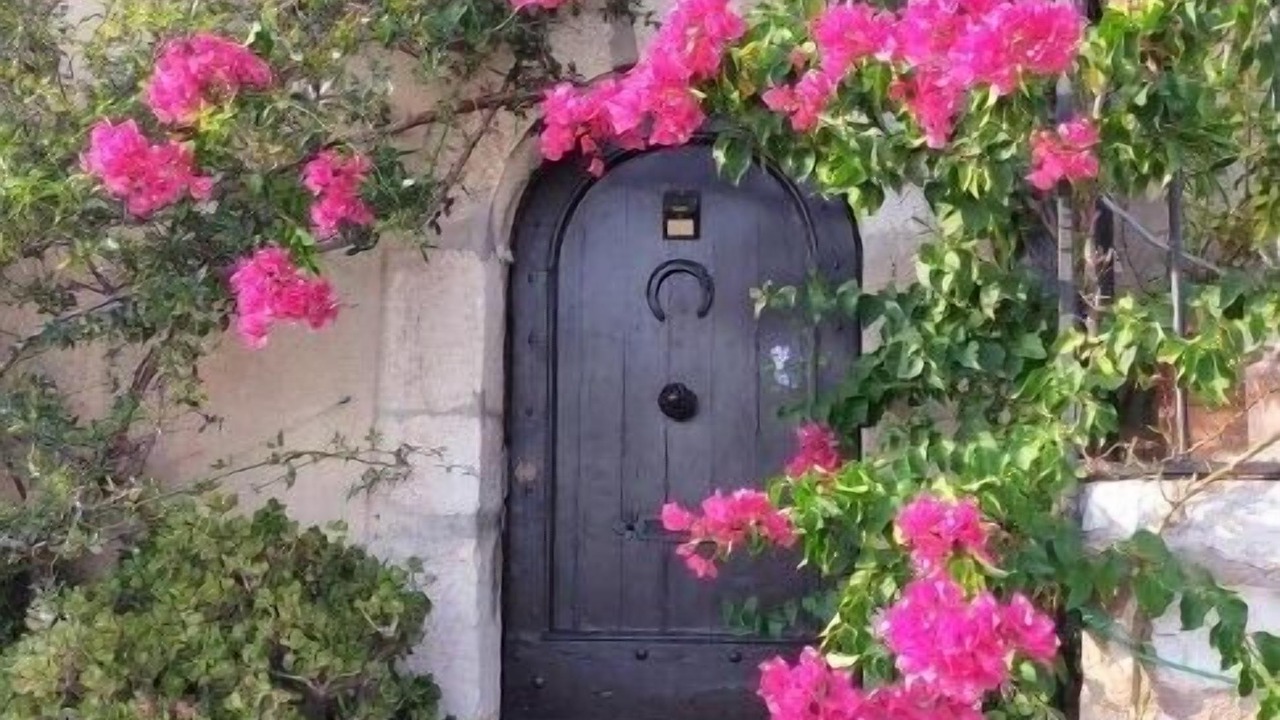 Photo of Outdoor in Saint-Cezaire-sur-Siagne