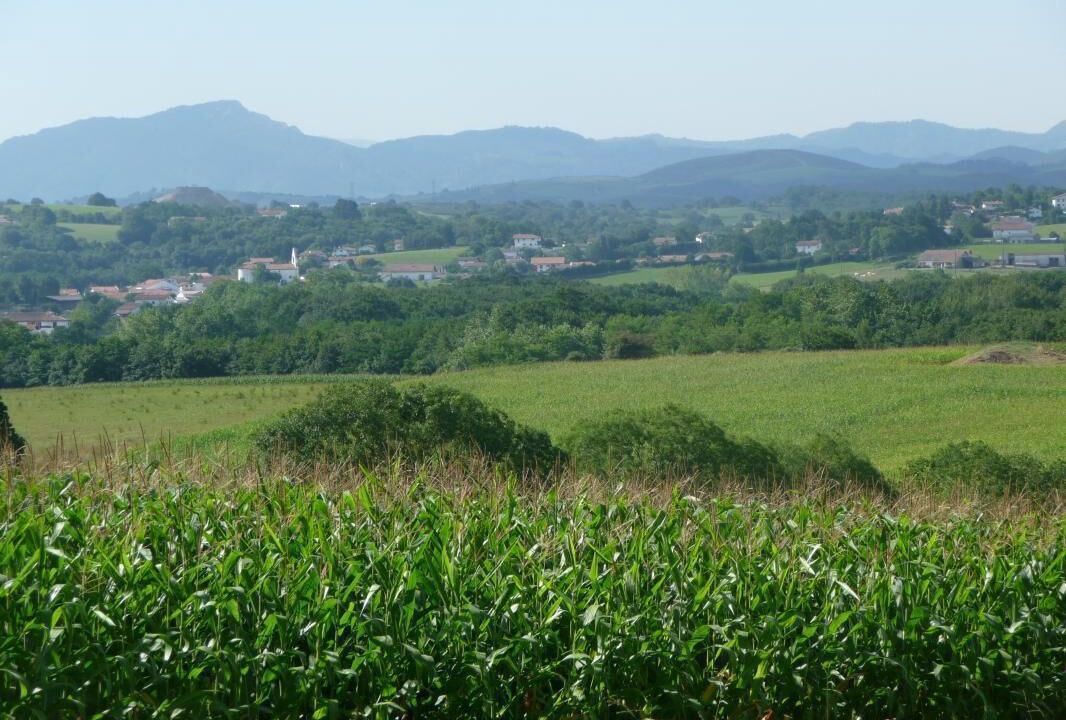 Photo of Outdoor in Arbonne