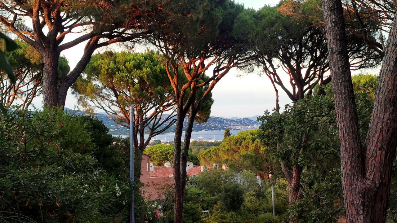 Photo of Outdoor in Cogolin