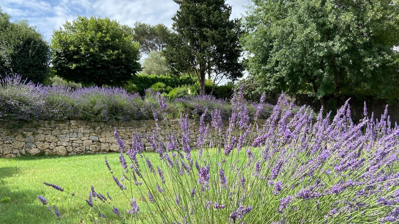 Photo of Outdoor in Chateauneuf-Grasse