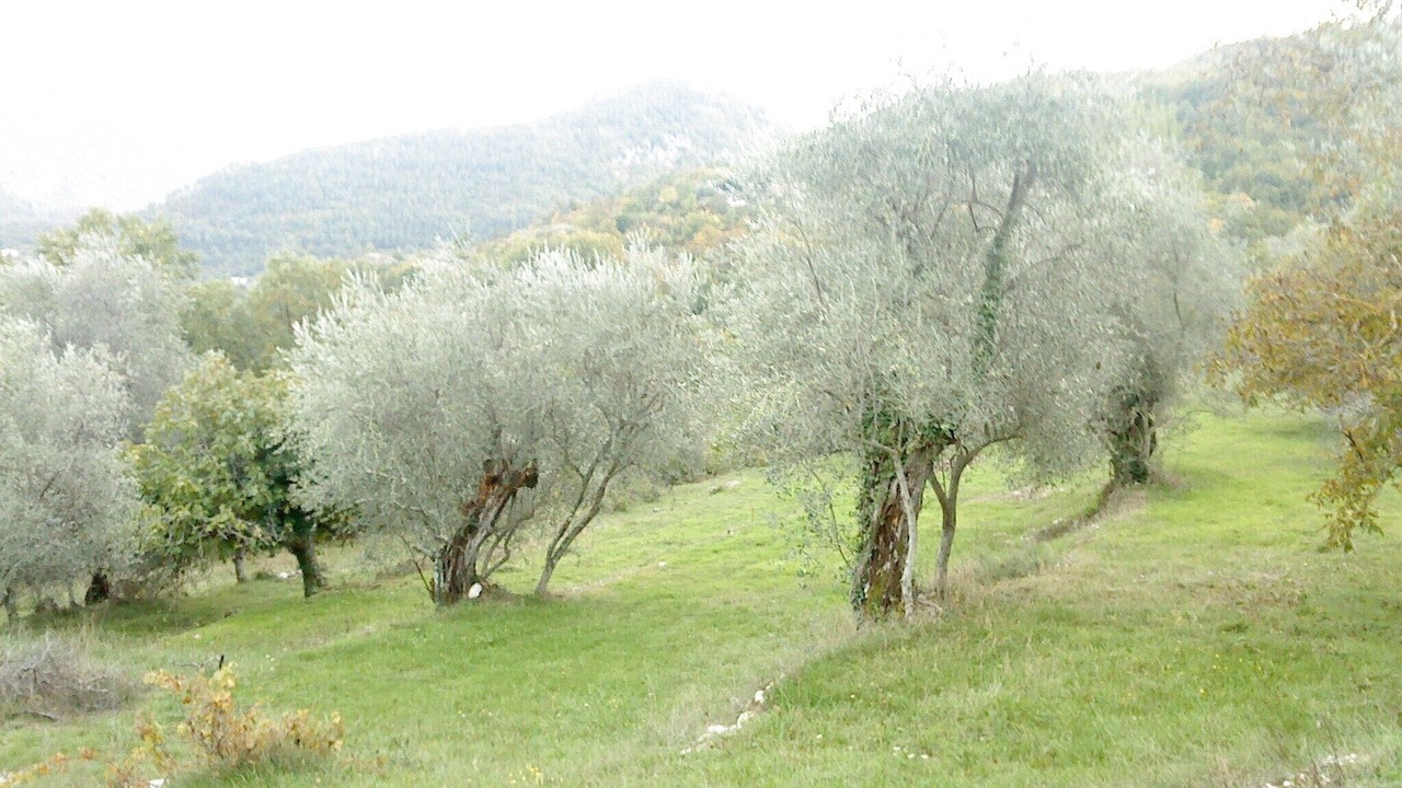 Photo of Outdoor in Sospel