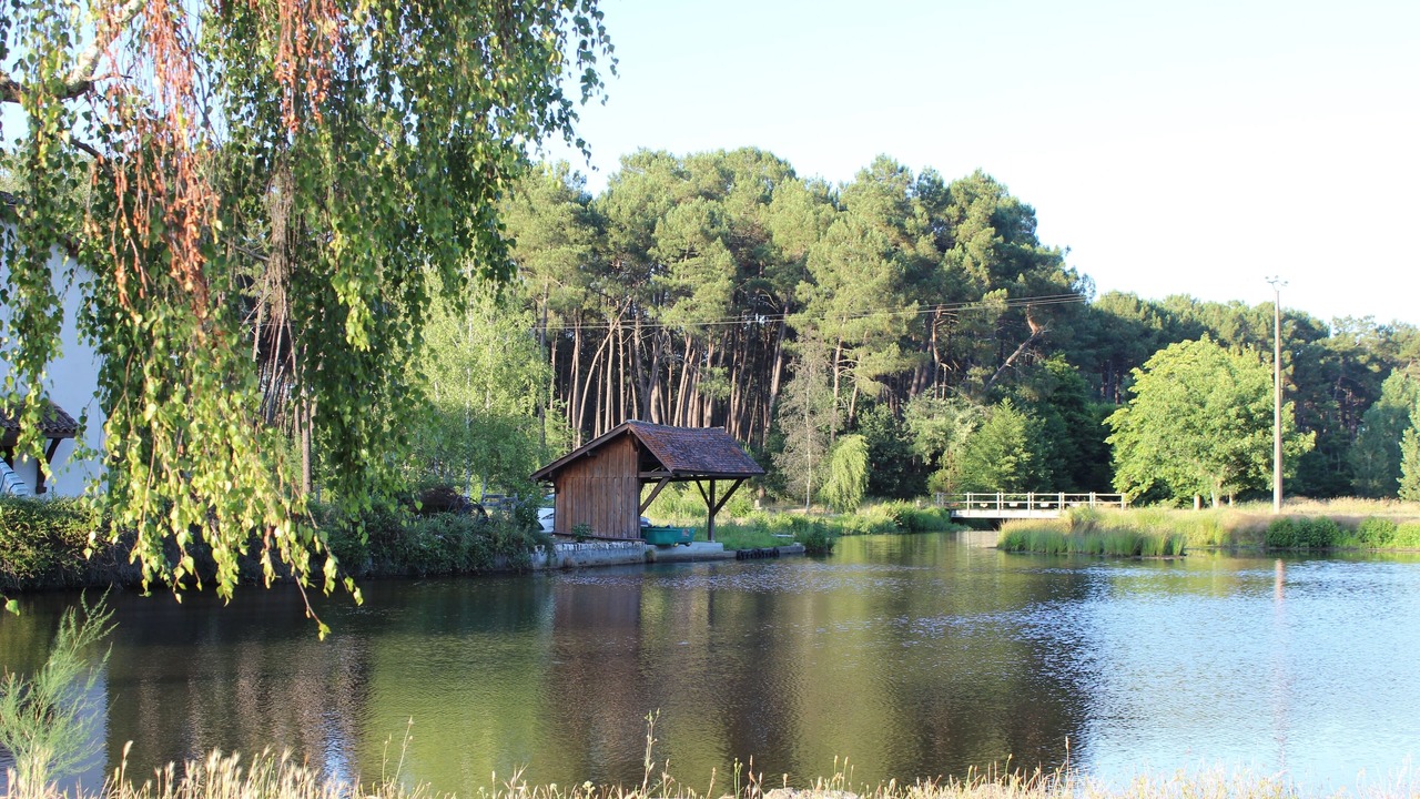 Photo of Outdoor in Marions