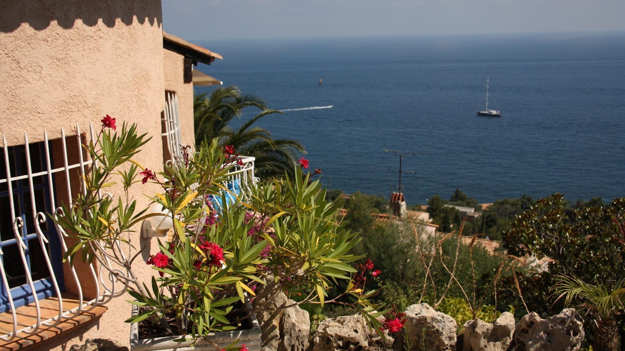 Photo of Outdoor in Antheor