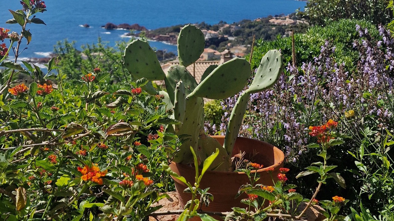 Photo of Outdoor in Antheor