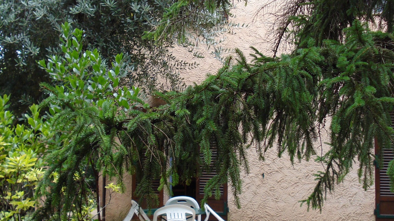 Photo of Patio Balcony in La Bocca Nord