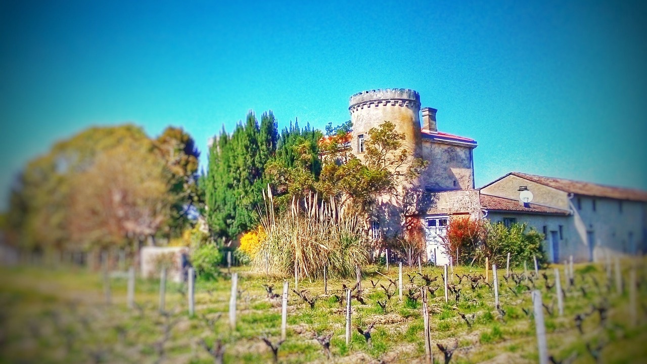 Photo of Outdoor in Preignac