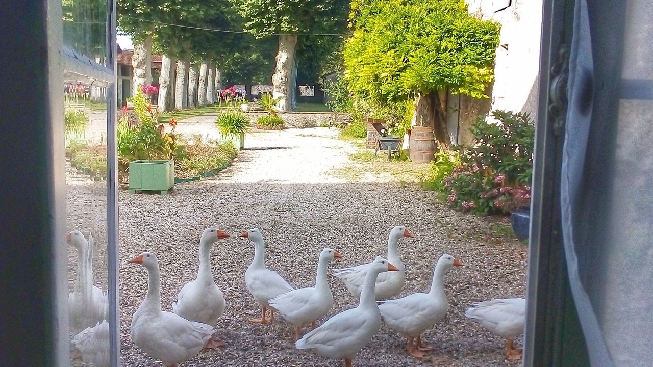 Photo of Others in Preignac