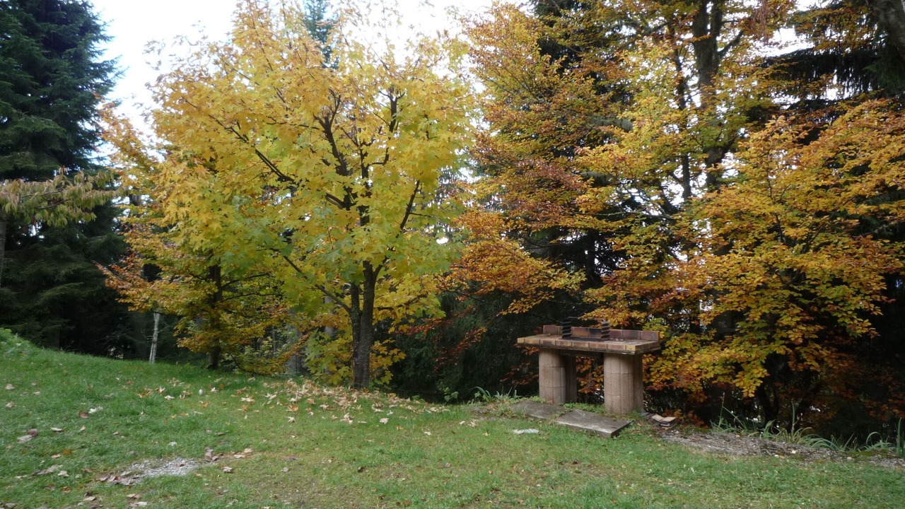Photo of Outdoor in Allevard