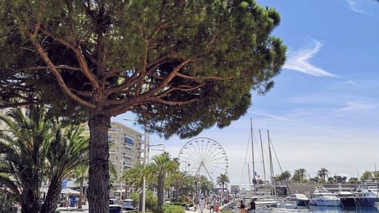 Photo of Others in Saint-Raphael