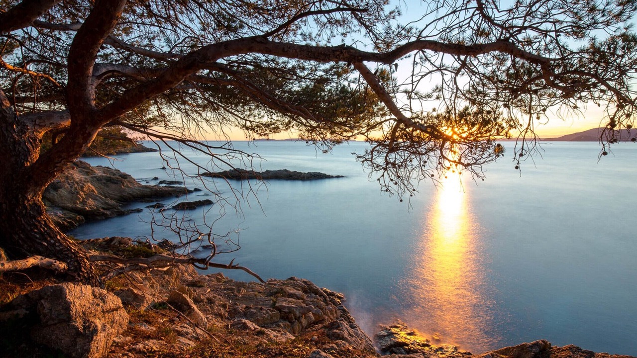 Photo of Others in Saint-Raphael