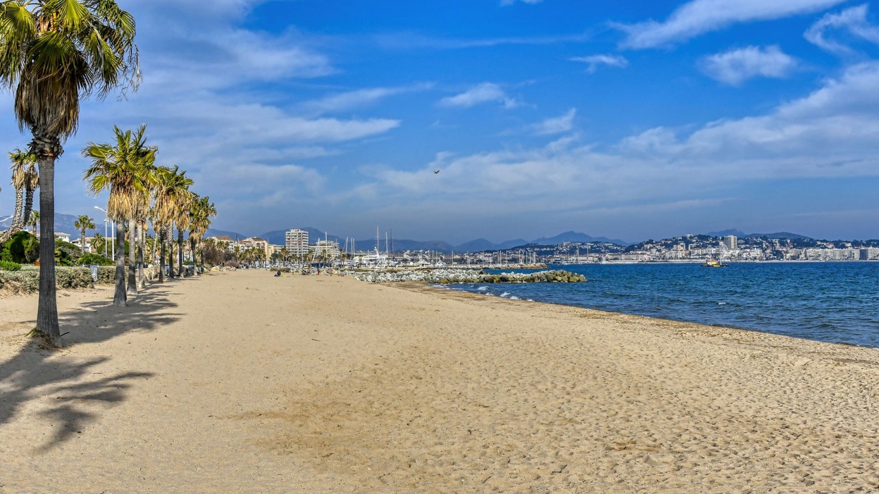 Photo of Others in Frejus Port