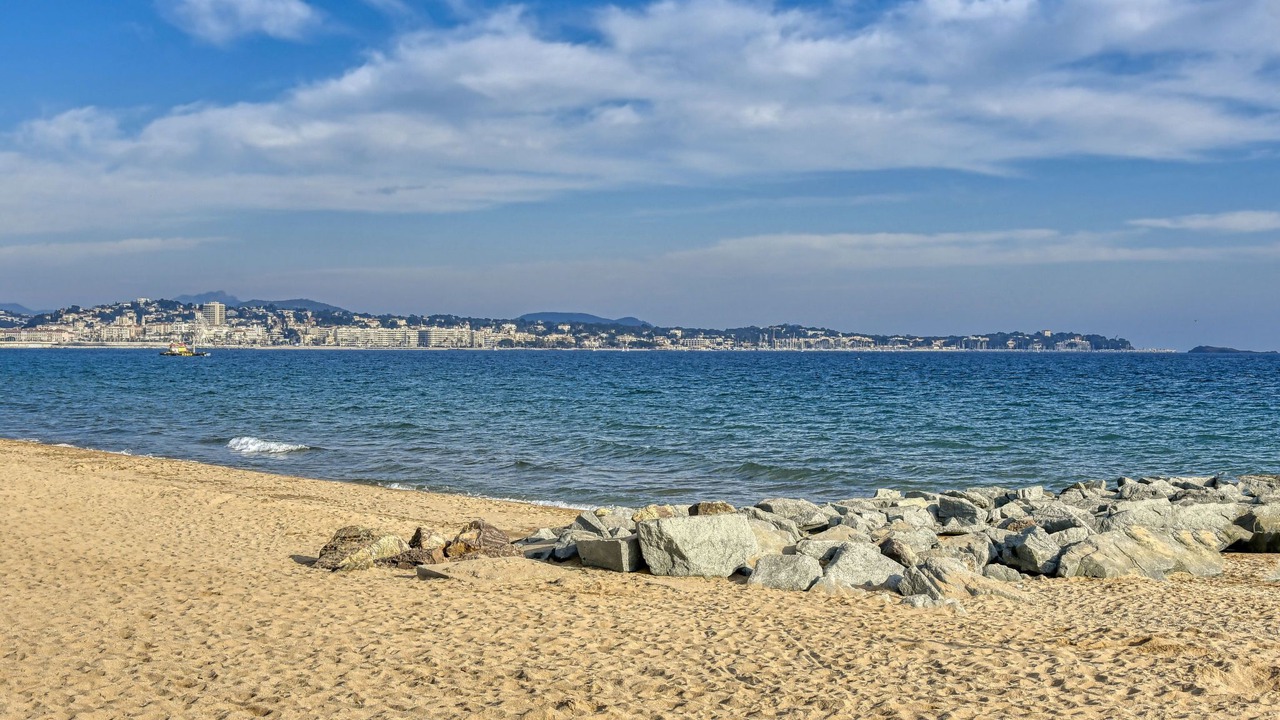 Photo of Others in Frejus Port