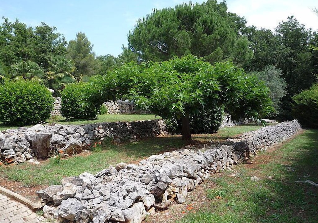Photo of Others in Saint-Cezaire-sur-Siagne
