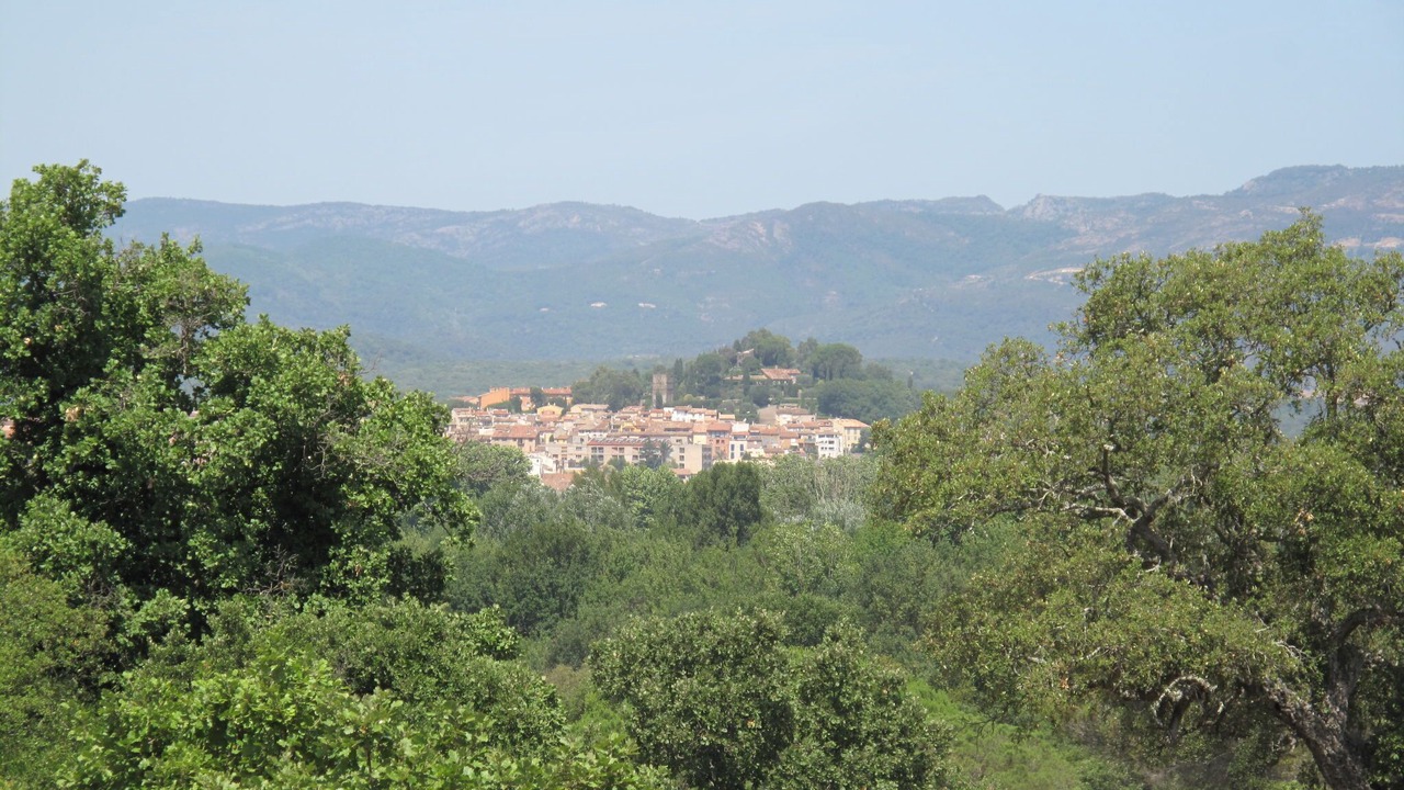 Photo of Others in Port Cogolin