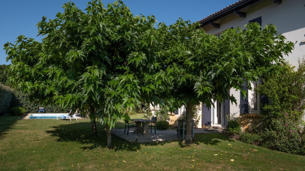 Photo of Outdoor in Saint-Julien-en-Born