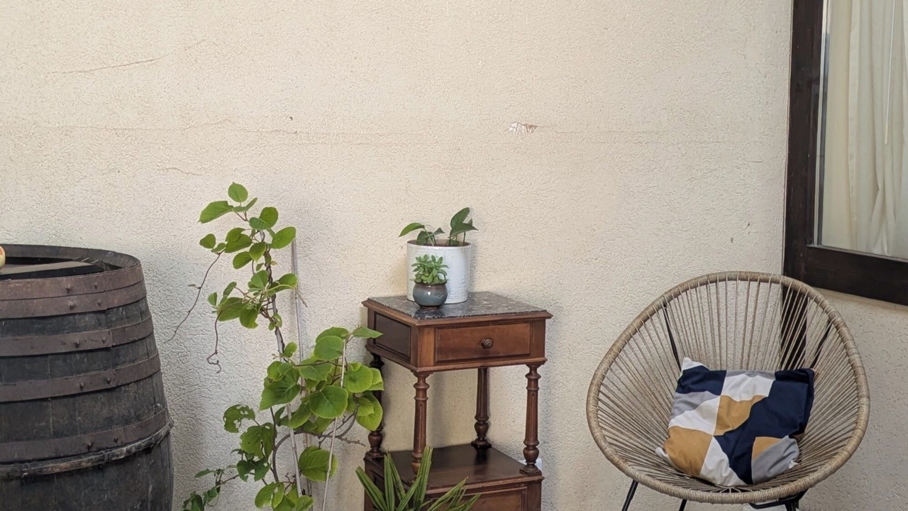 Photo of Outdoor in Segonzac