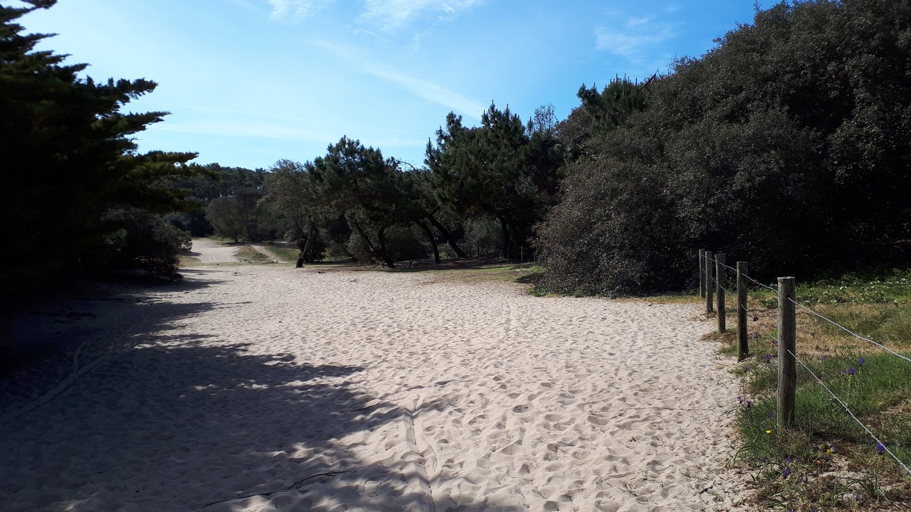 Photo of Outdoor in L'Epine