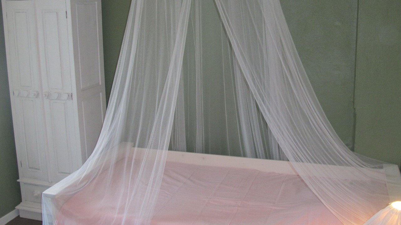Photo of Bedroom in Domino