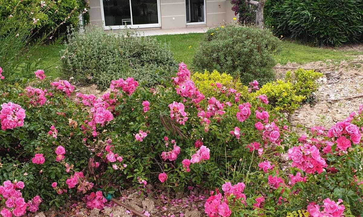 Photo of Outdoor in La Croix des Gardes