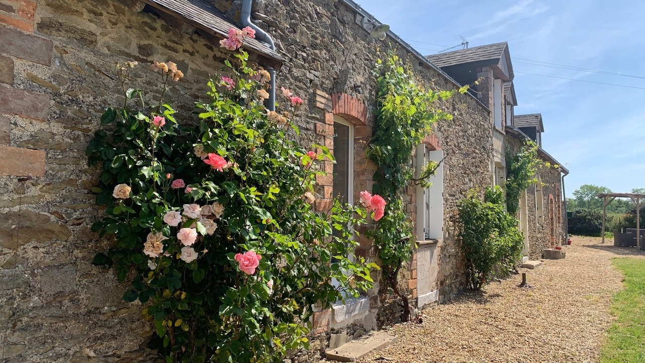 Photo of Outdoor in Longuefuye