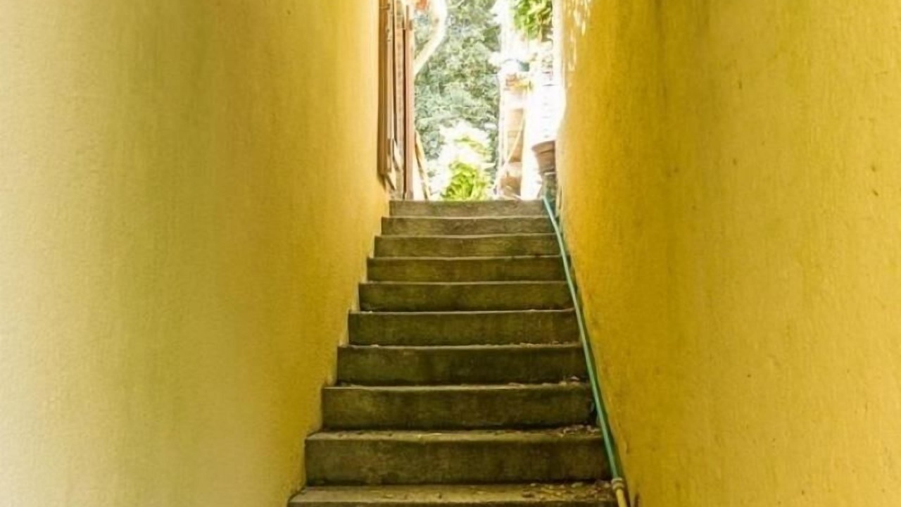 Photo of Outdoor in Corcoue-sur-Logne