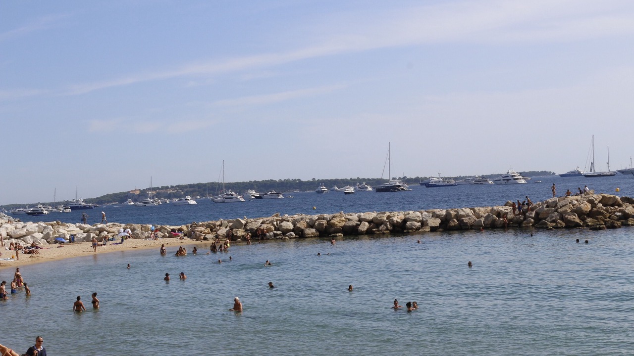 Photo of Others in La Bocca