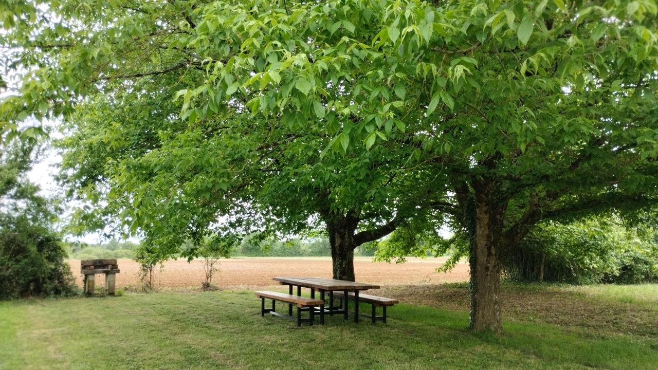 Photo of Outdoor in Montpellier de Medillan