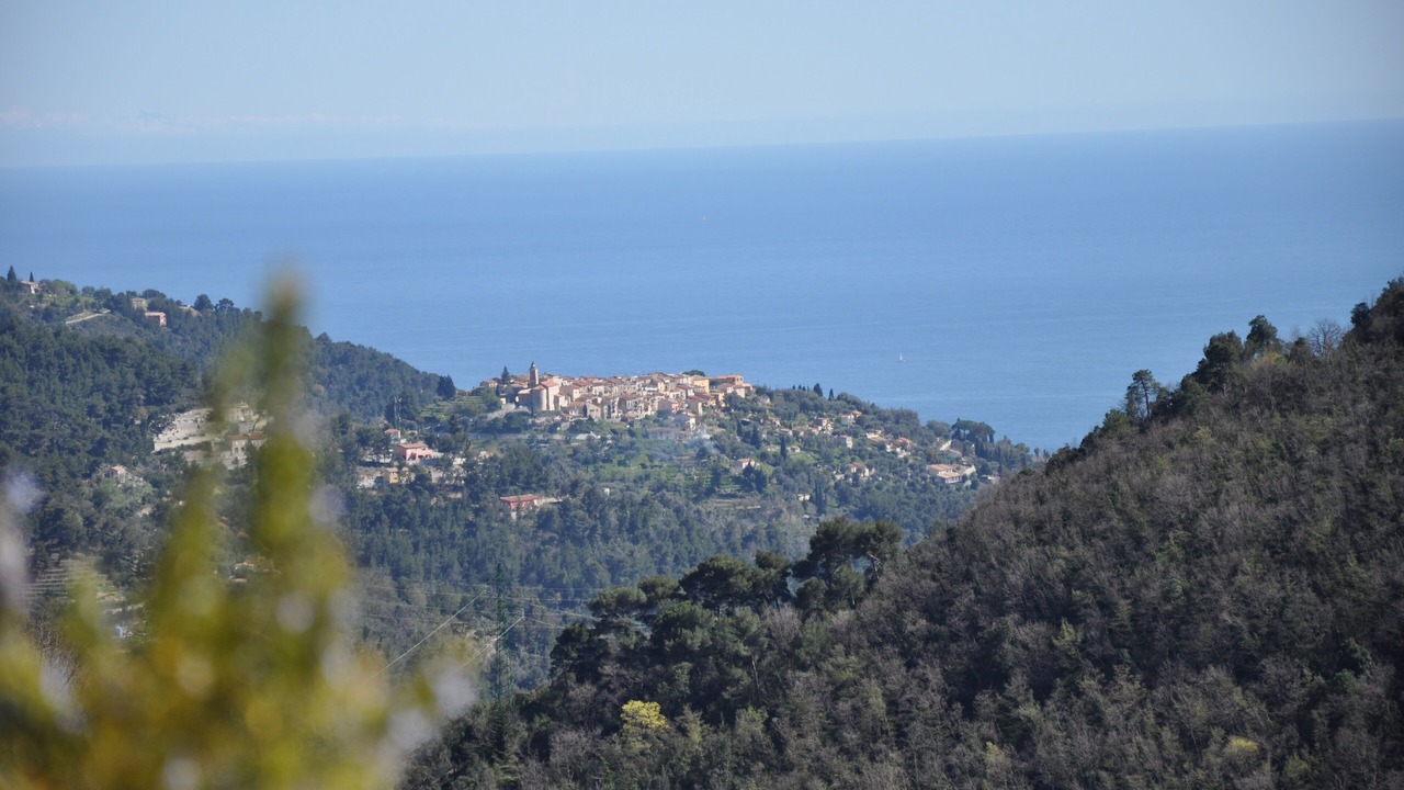 Photo of Others in Castillon