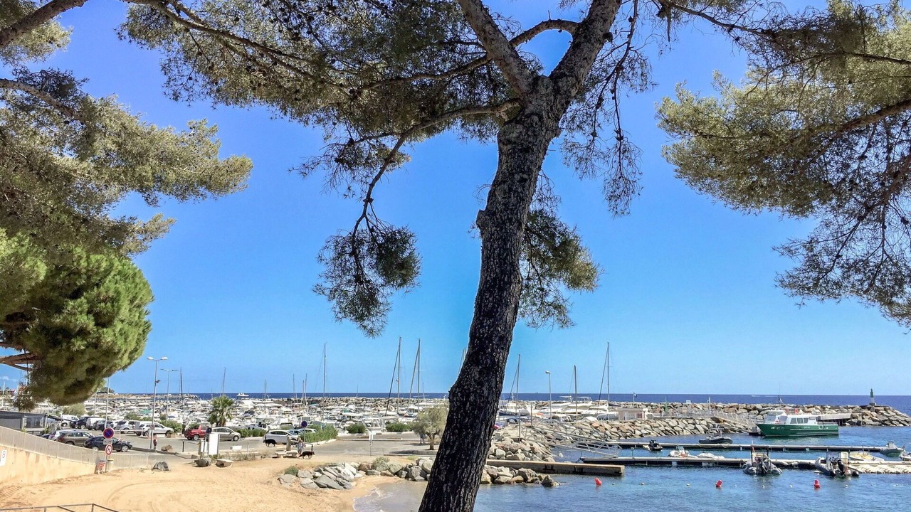 Photo of Others in Plage de la Garonnette
