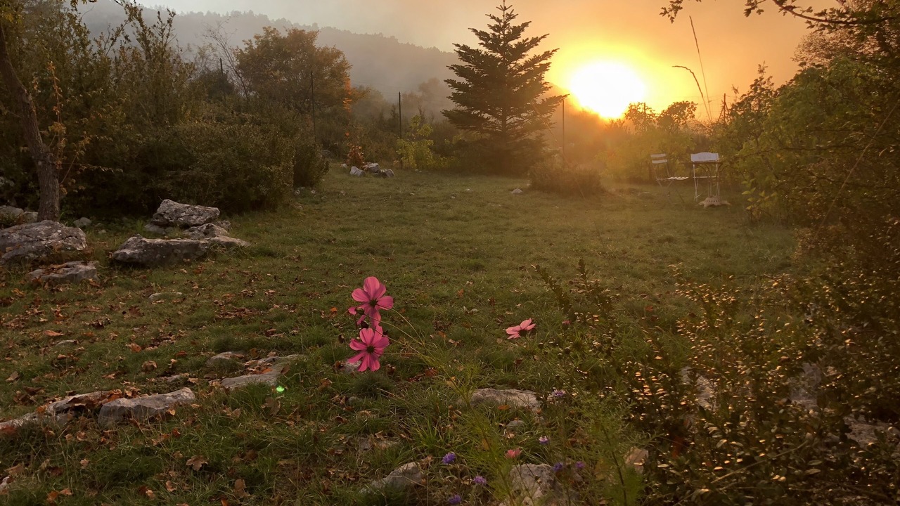 Photo of Outdoor in Coursegoules