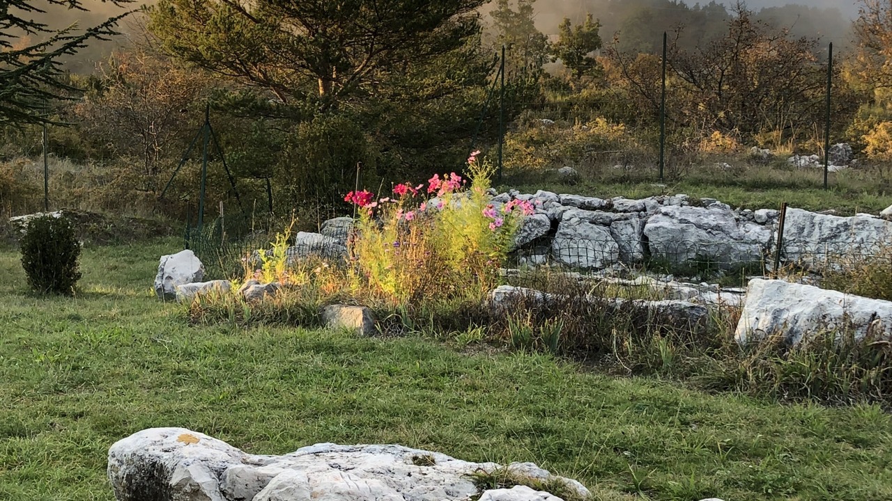 Photo of Outdoor in Coursegoules