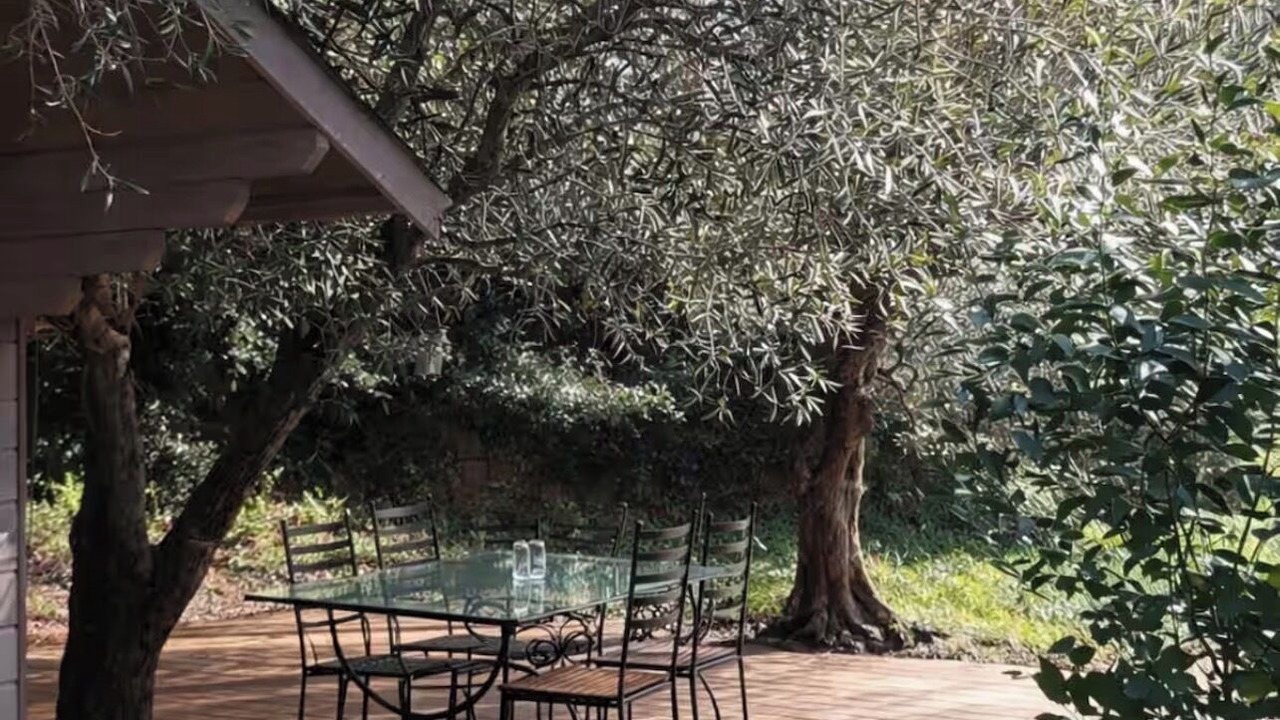 Photo of Patio Balcony in Le Plan-de-Grasse