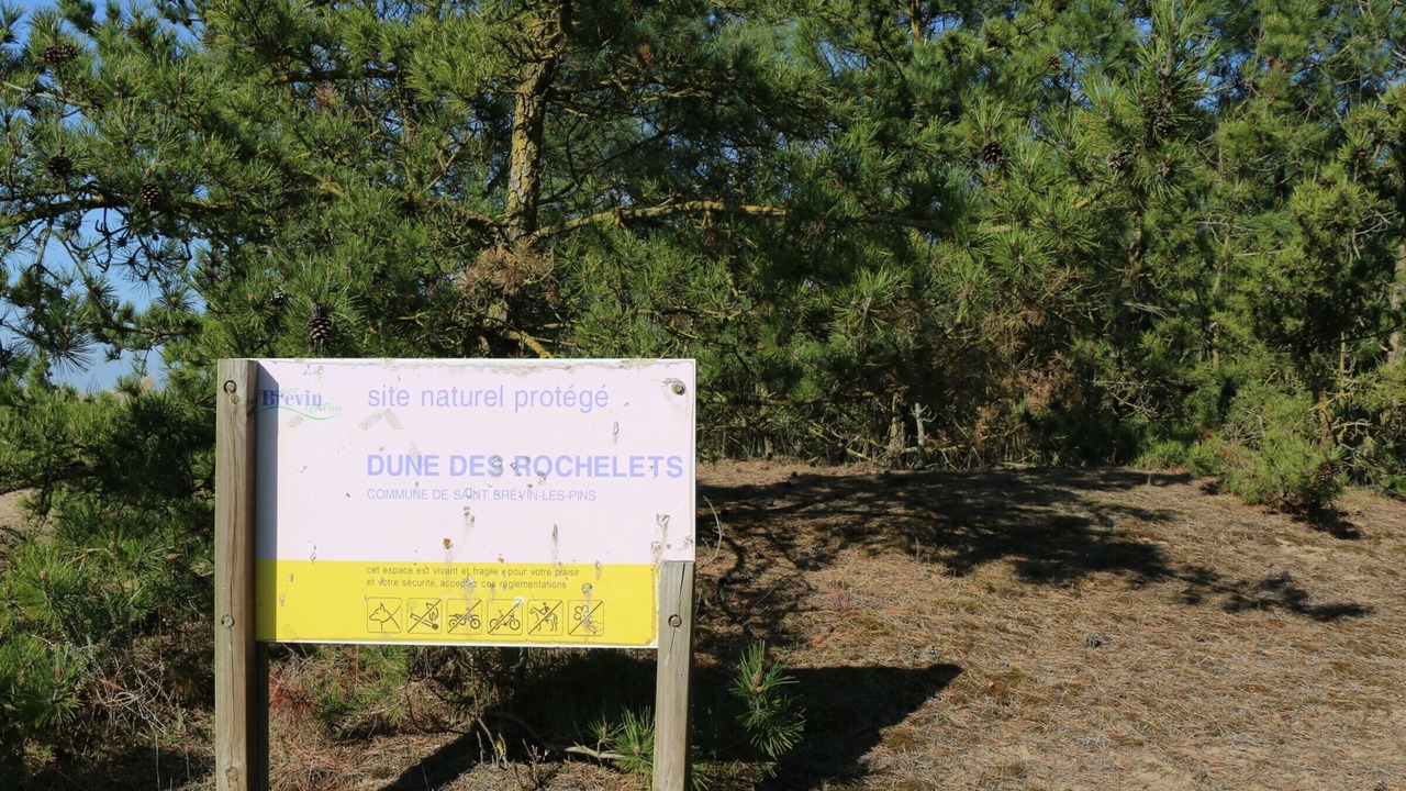 Photo of Outdoor in Saint-Brevin-les-Pins