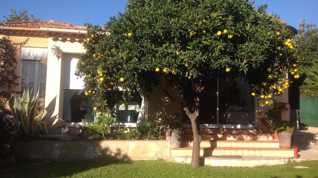 Photo of Outdoor in Antibes