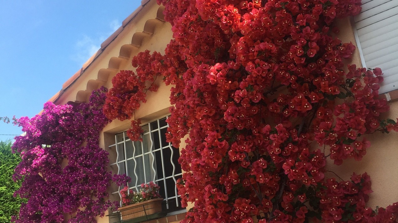 Photo of Outdoor in Antibes