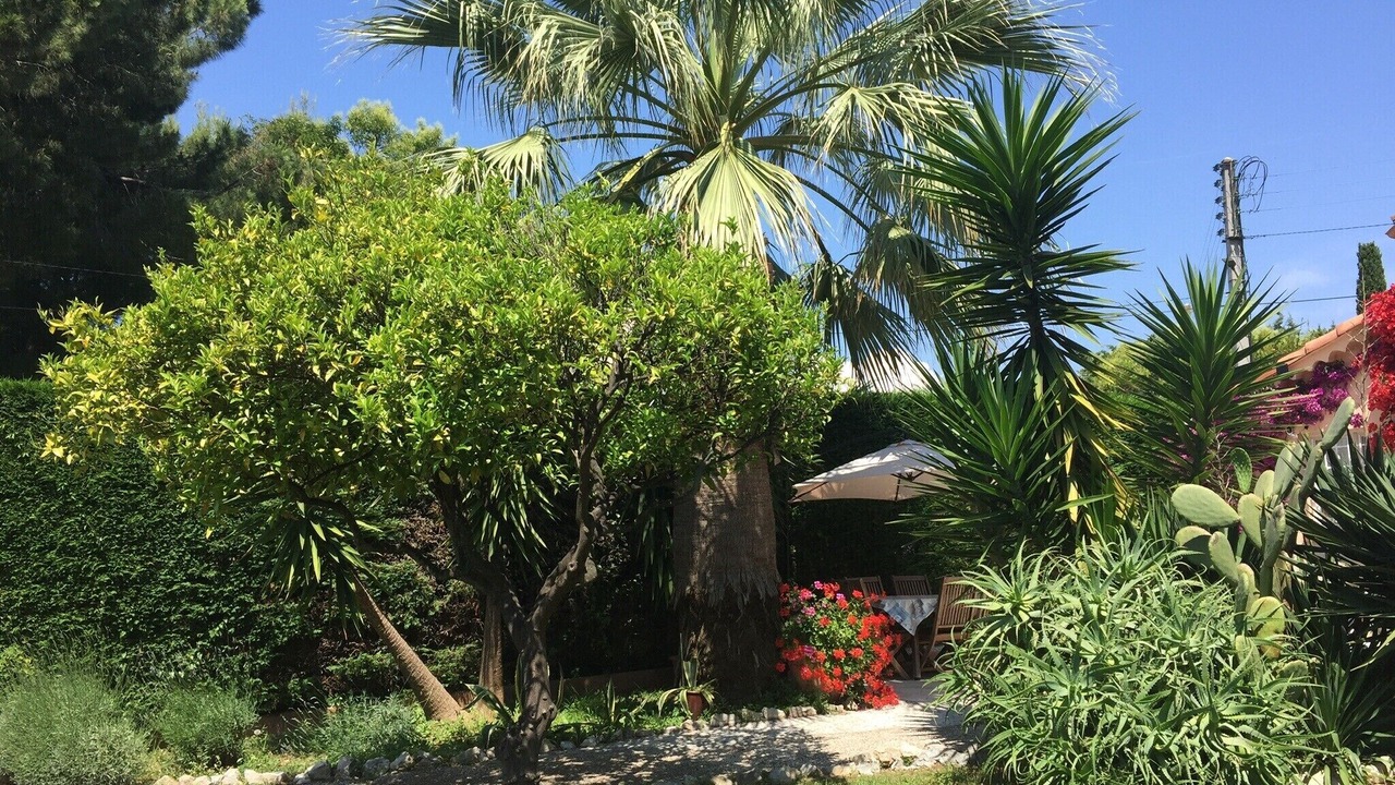 Photo of Outdoor in Antibes