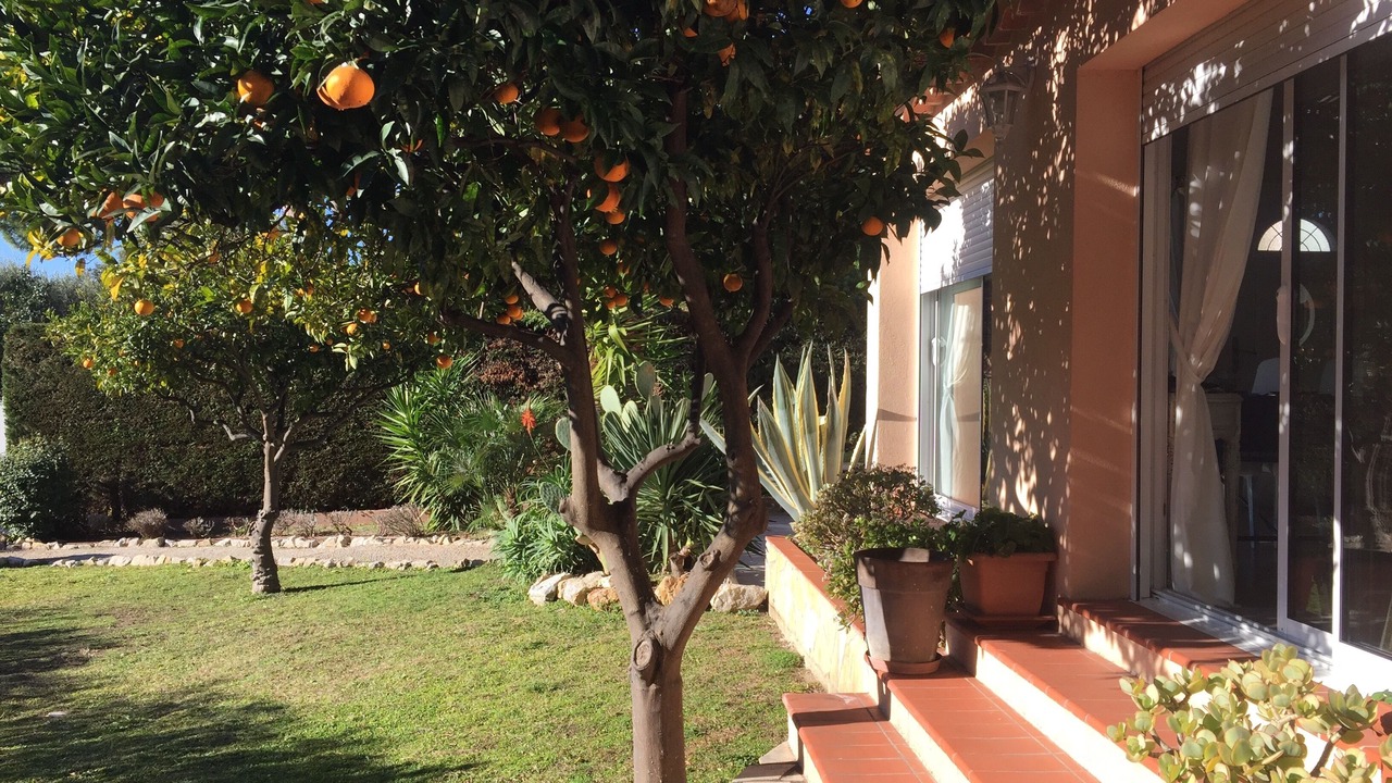 Photo of Outdoor in Antibes
