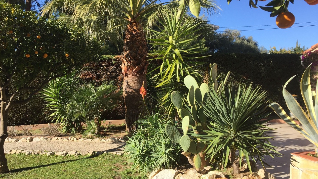 Photo of Outdoor in Antibes