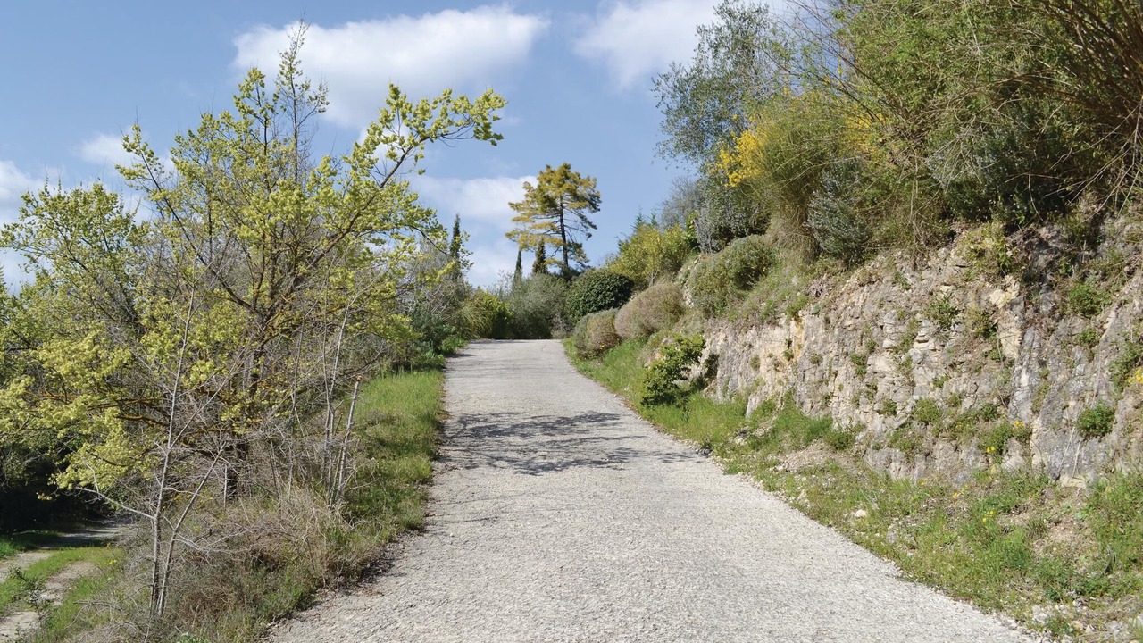 Photo of Others in Montauroux